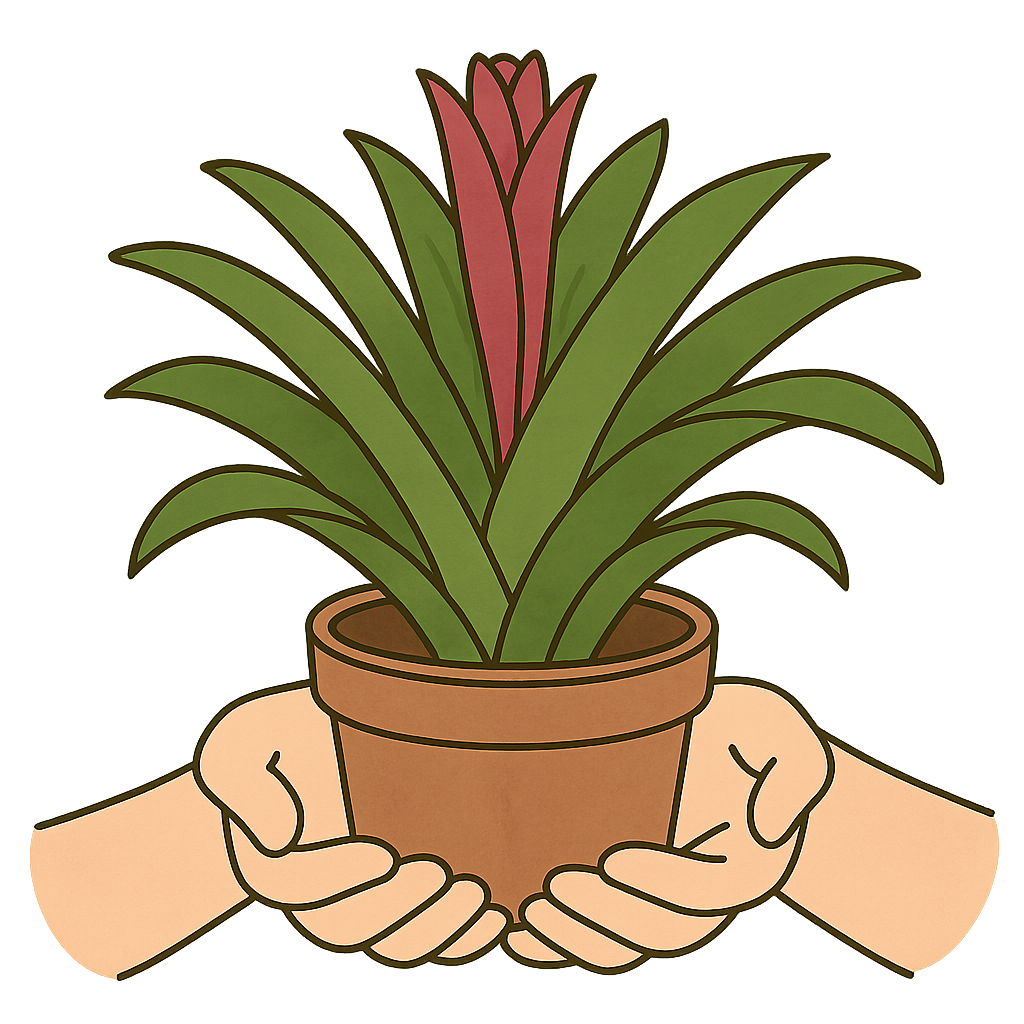 タンクブロメリアを育てるコツは？初心者にも分かる育て方を詳しく解説！