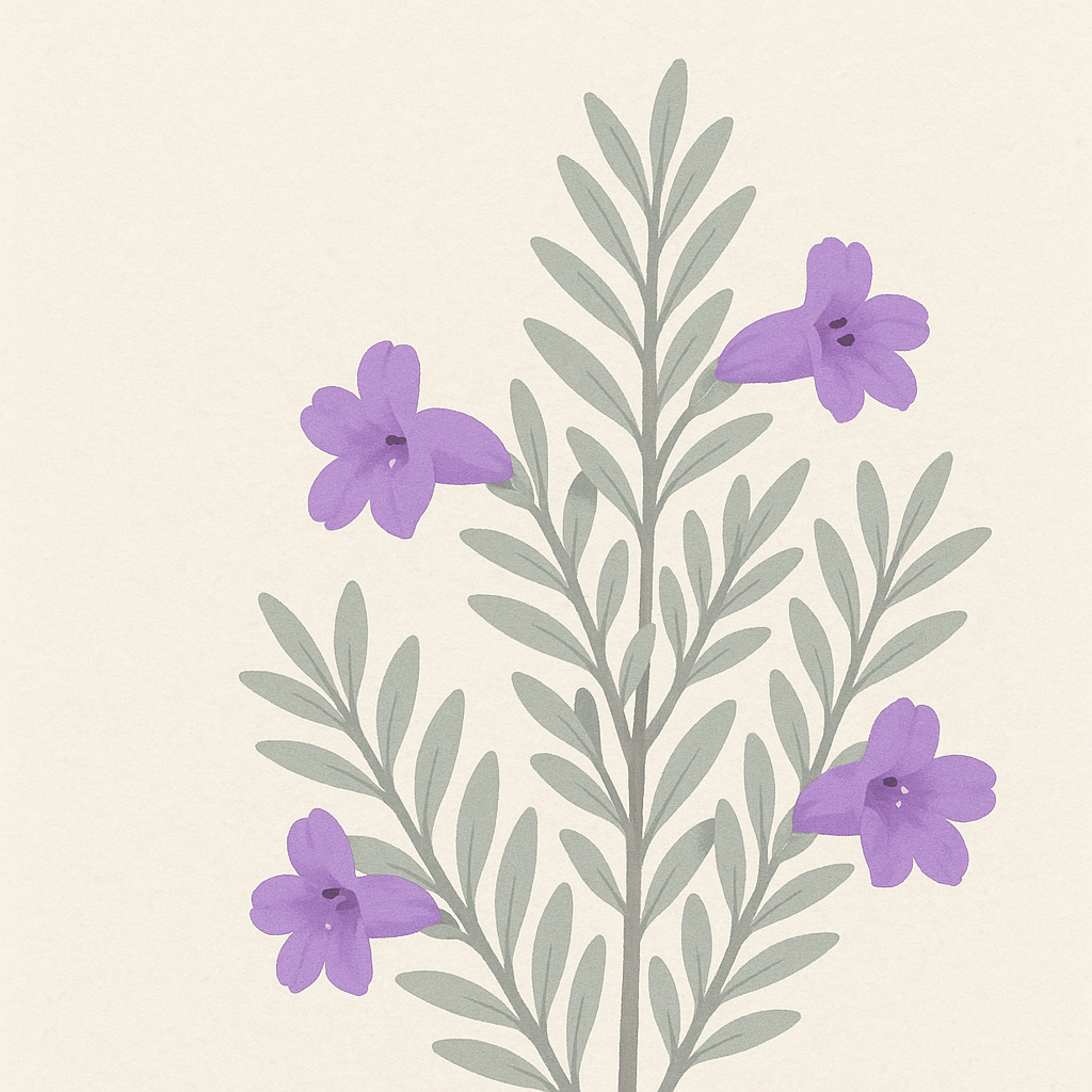 エレモフィラとはどんな植物？特徴や育て方など詳しくご紹介！