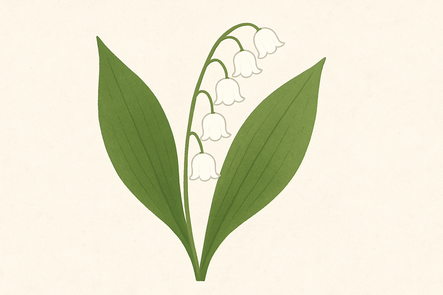 すずらん(鈴蘭)の花言葉とは？色別の意味や怖い花言葉の意味などもご紹介！