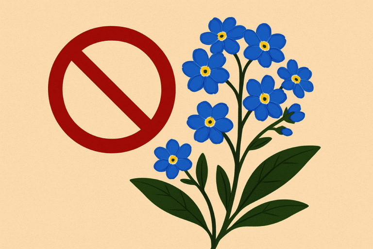 勿忘草（ワスレナグサ）を庭に植えてはいけない理由と上手な育て方