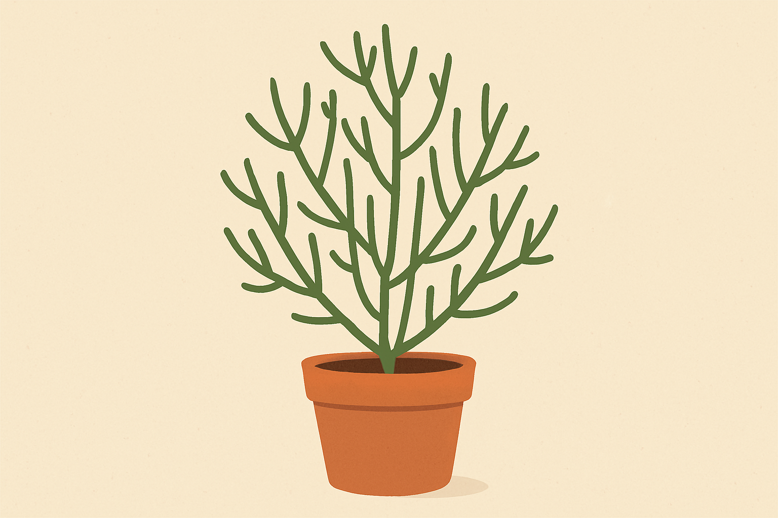 人気の植物ミルクブッシュとは？初心者でも失敗しない育て方のコツをご紹介！