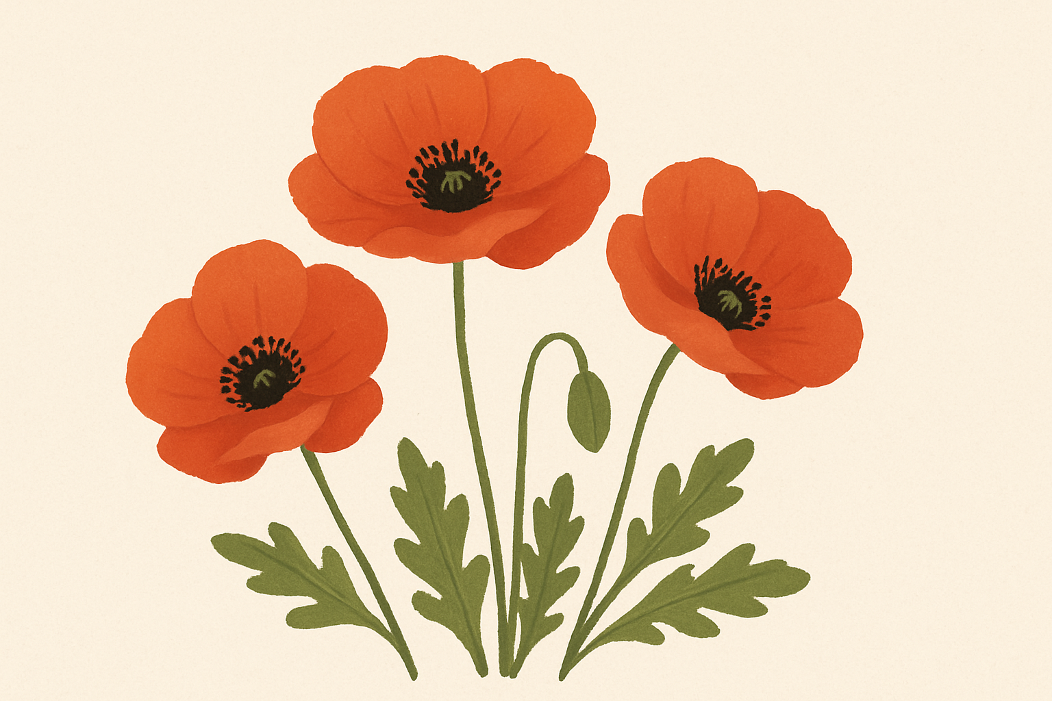 ポピーとは？人気の育てやすい花の特徴と育て方を詳しく紹介！